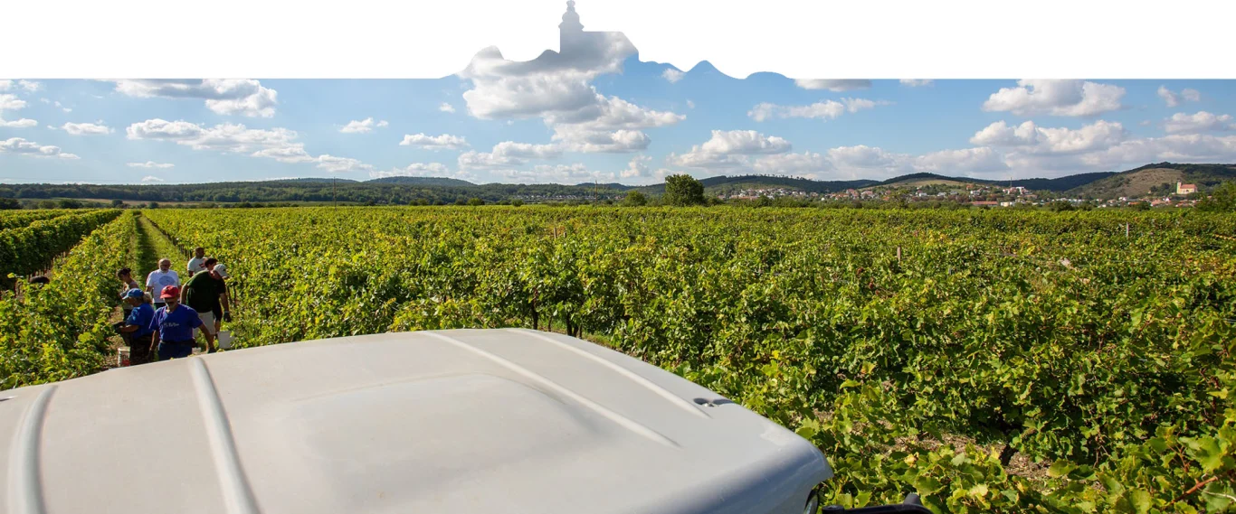 Weingut Berger